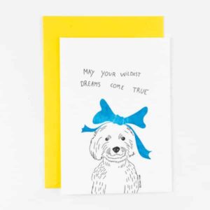 Studio Flash Cards - May your wildest dreams come true
