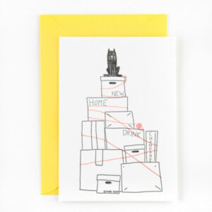 Studio Flash Cards - New home