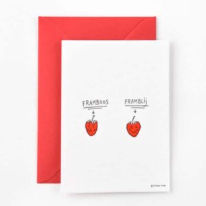 Studio Flash Cards - Framboos vs Framblij